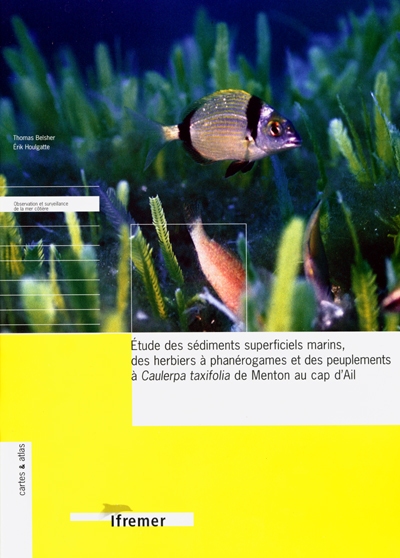 Etude des sédiments superficiels marins, des herbiers à phanérogames et des peuplements à Caulerpa taxifolia de Menton au Cap-d'Ail (France-Principauté de Monaco)