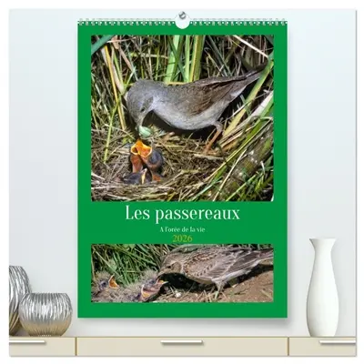 Les passereaux à l'orée de la vie (Calendrier mural 2026 DIN A2 horizontal) calendrier de bureau : Images de la naissance des passereaux