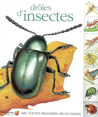 Droles d'insectes