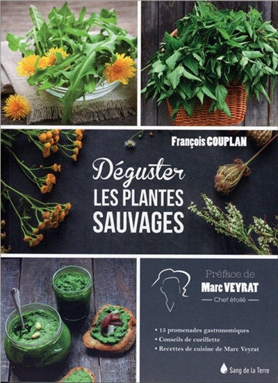 Dégustez les plantes sauvages