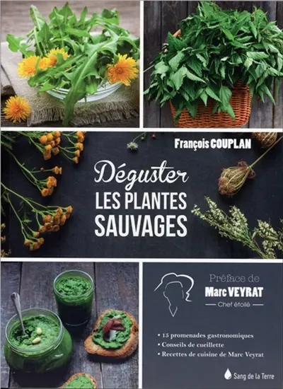 Dégustez les plantes sauvages