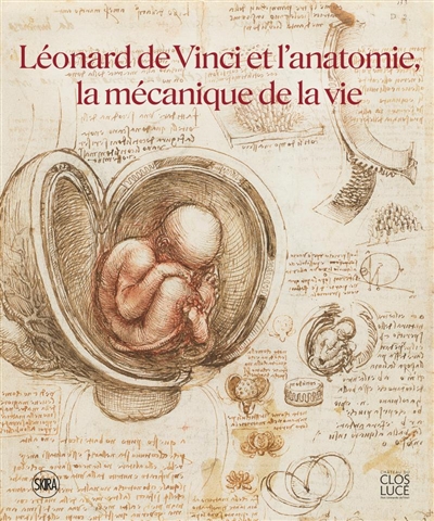 Léonard de Vinci et l'anatomie, la mécanique de la vie