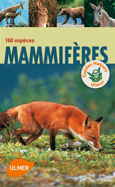 Mammifères : 160 espèces