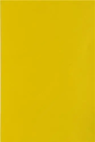 Les yeux brûlés de songe : Vincent Chevillon