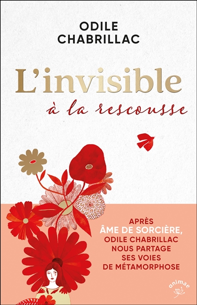L'invisible à la rescousse