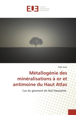 Métallogénie des...
