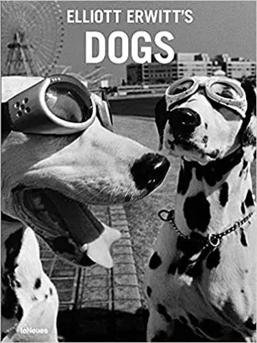 Elliott Erwitt's dogs