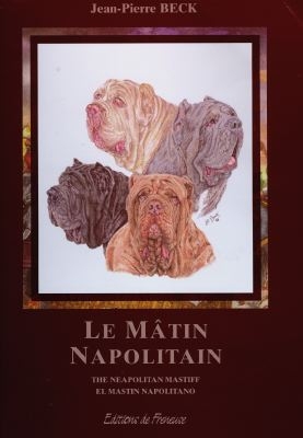 Le mâtin napolitain. The neapolitan mastiff. El mastin napolitano