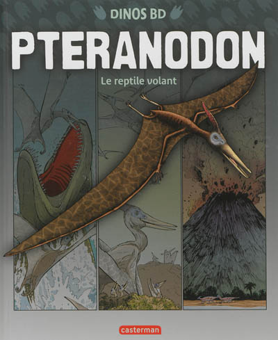 Ptéranodon, Le reptile volant