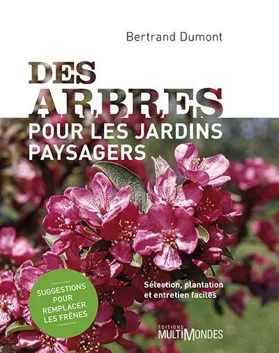 Des arbres pour les jardins paysagers : Sélection, plantation et entretien faciles – Suggestions pour remplacer les frênes