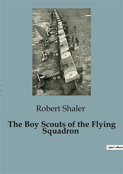 The Boy Scouts of the...