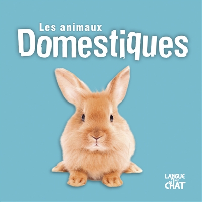 Les animaux domestiques