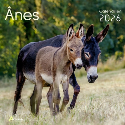 Anes : calendrier 2026 : de...