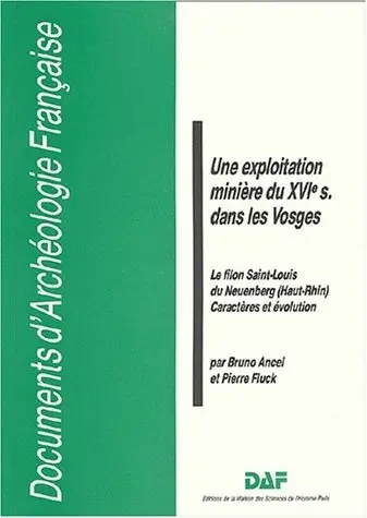 Une exploitation minière du XVIe s. dans les Vosges : le filon Saint-Louis du Neuenberg (Haut-Rhin), caractères et évolution