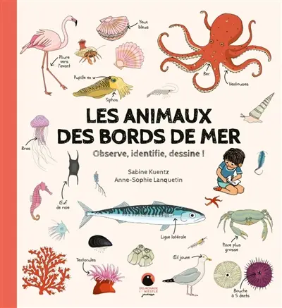 Les animaux des bords de mer : observe, identifie, dessine !