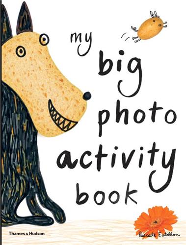 My Big Photo Activity Book