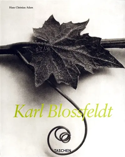 Karl Blossfeldt, 1865-1932