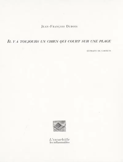 Il y a toujours un chien qui court sur une plage : extraits de carnets