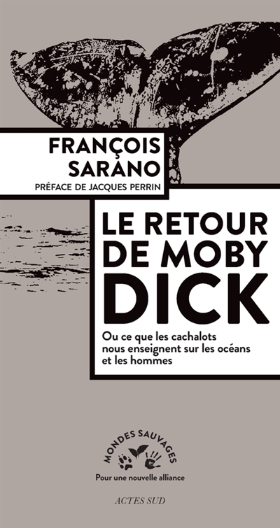 Le retour de Moby Dick ou Ce que les cachalots nous enseignent sur les océans et les hommes
