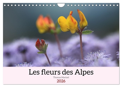 Les fleurs des Alpes...