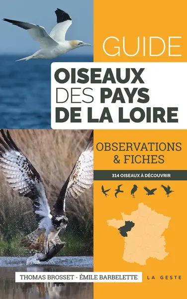 Guide oiseaux des Pays de la Loire : observations & fiches : 314 oiseaux à découvrir