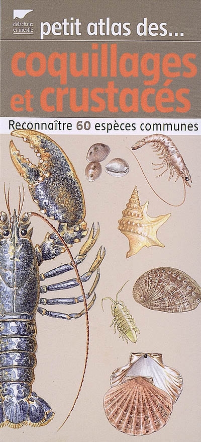 Petit atlas des coquillages et crustacés : reconnaître 60 espèces communes