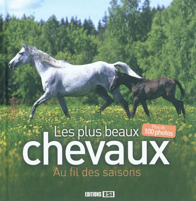 Les plus beaux chevaux au fil des saisons