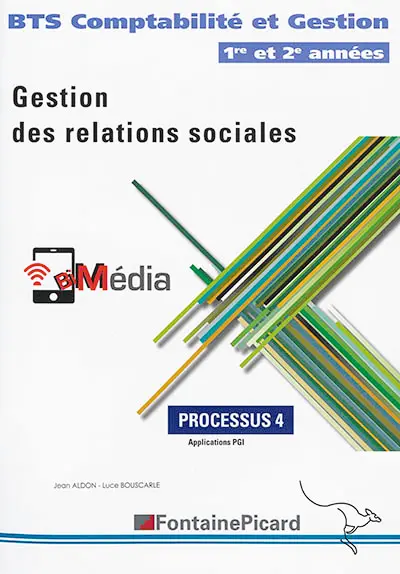Gestion des relations sociales : BTS comptabilité et gestion  1re et 2e années : processus 4, applications PGI