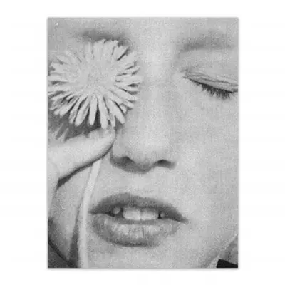 Aaron Stern and Lucy Helton Ok No Response