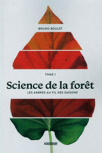 Les arbres au fil des saisons 1