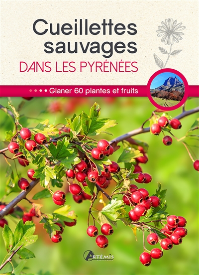 Cueillettes sauvages dans les Pyrénées : glaner 60 plantes et fruits