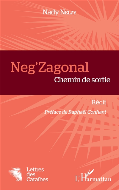 Neg'zagonal : chemin de sortie : récit