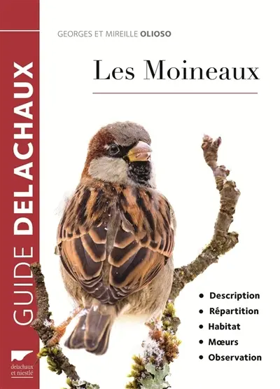 Les moineaux : description, répartition, habitat, moeurs, observation