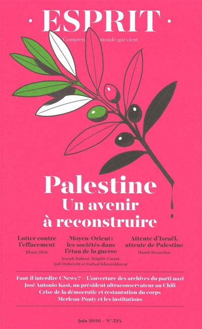 Esprit, n° 534. Palestine :...