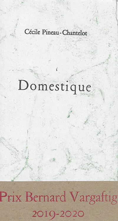 Domestique