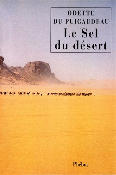 Le sel du désert : récit