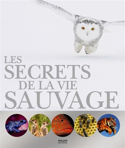 Les secrets de la vie sauvage