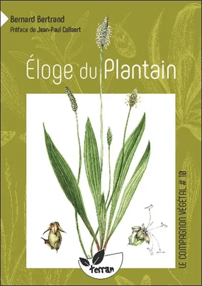 Eloge du plantain