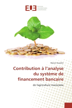 Contribution à l'analyse du...