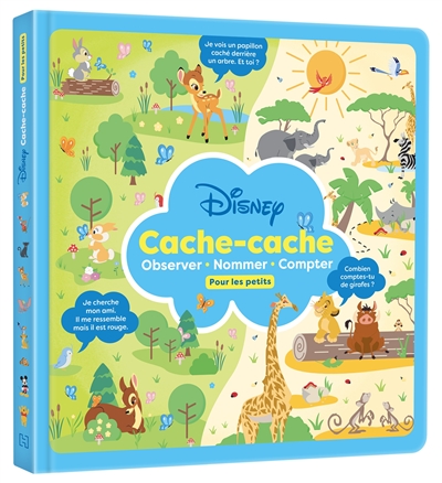 Cache-cache pour les petits : observer, nommer, compter