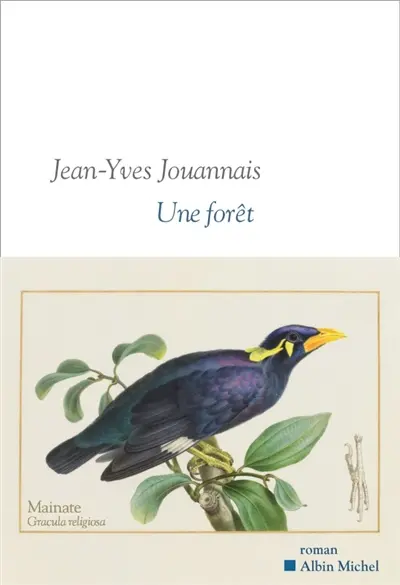 Une forêt