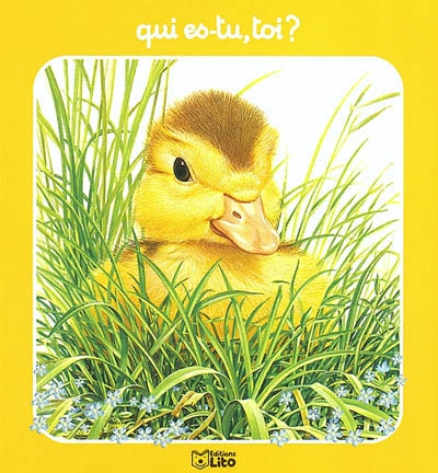 Qui es-tu, toi ? : [canard]