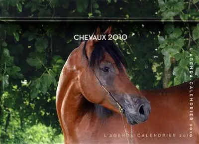 Chevaux 2010 : l'agenda-calendrier 2010
