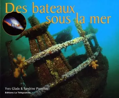 Des bateaux sous la mer : épaves en Bretagne