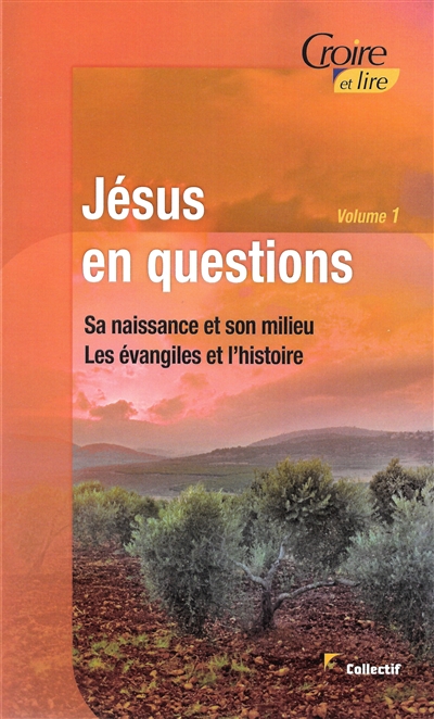 Jésus en questions. Vol. 1. Sa naissance et son milieu, les Evangiles et l'histoire