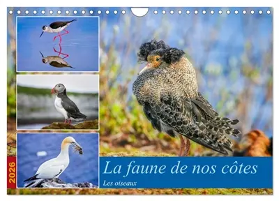 La faune de nos côtes les oiseaux (Calendrier mural 2026 DIN A4 vertical), CALVENDO calendrier mensuel : La faune aviaire qui peuple nos littoraux