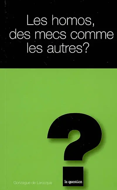 Les homos, des mecs comme les autres ?