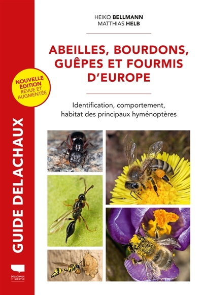 Abeilles, bourdons, guêpes...