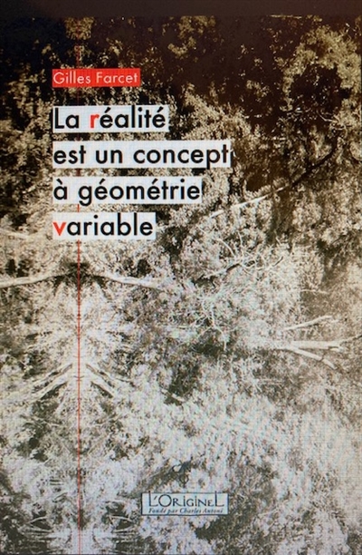 La réalité est un concept à géométrie variable - Gilles Farcet