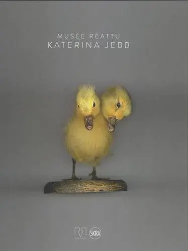 Katerina Jebb : Musée Réattu